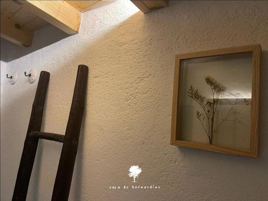 فيلا Casa Do Bernardino Cabril  المظهر الخارجي الصورة