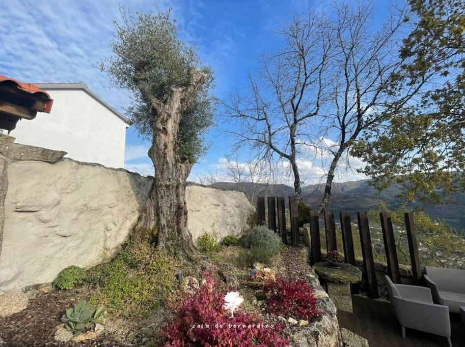 فيلا Casa Do Bernardino Cabril  المظهر الخارجي الصورة