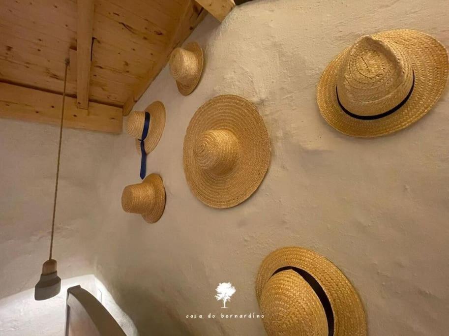 فيلا Casa Do Bernardino Cabril  المظهر الخارجي الصورة